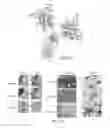Fig. 13 - Method of preventing and treating type 1 diabetes, allograft rejection and lung fibrosis (by targeting the ATP/P2X7R axis)