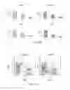 Fig. 17 - Method of preventing and treating type 1 diabetes, allograft rejection and lung fibrosis (by targeting the ATP/P2X7R axis)