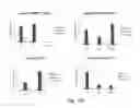 Fig. 20 - Method of preventing and treating type 1 diabetes, allograft rejection and lung fibrosis (by targeting the ATP/P2X7R axis)