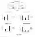 Fig. 21 - Method of preventing and treating type 1 diabetes, allograft rejection and lung fibrosis (by targeting the ATP/P2X7R axis)