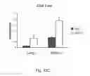 Fig. 22 - Method of preventing and treating type 1 diabetes, allograft rejection and lung fibrosis (by targeting the ATP/P2X7R axis)