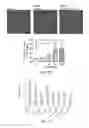 Fig. 24 - Method of preventing and treating type 1 diabetes, allograft rejection and lung fibrosis (by targeting the ATP/P2X7R axis)