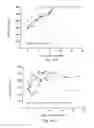Fig. 28 - Method of preventing and treating type 1 diabetes, allograft rejection and lung fibrosis (by targeting the ATP/P2X7R axis)
