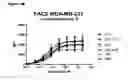 Fig. 08 - Human antibody drug conjugates against tissue factor