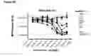 Fig. 12 - Human antibody drug conjugates against tissue factor
