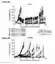 Fig. 16 - Human antibody drug conjugates against tissue factor