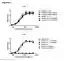 Fig. 23 - Human antibody drug conjugates against tissue factor