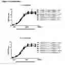 Fig. 24 - Human antibody drug conjugates against tissue factor