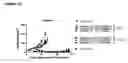 Fig. 25 - Human antibody drug conjugates against tissue factor