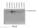 Fig. 07 - SPECIFIC SITES FOR MODIFYING ANTIBODIES TO MAKE IMMUNOCONJUGATES