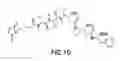 Fig. 11 - SPECIFIC SITES FOR MODIFYING ANTIBODIES TO MAKE IMMUNOCONJUGATES
