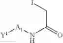 Fig. 99 - SPECIFIC SITES FOR MODIFYING ANTIBODIES TO MAKE IMMUNOCONJUGATES