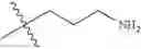 Fig. 156 - Protein-polymer-drug conjugates