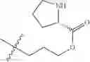 Fig. 173 - Protein-polymer-drug conjugates