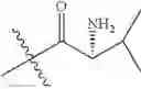 Fig. 181 - Protein-polymer-drug conjugates