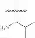 Fig. 189 - Protein-polymer-drug conjugates