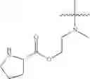 Fig. 192 - Protein-polymer-drug conjugates