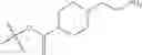 Fig. 210 - Protein-polymer-drug conjugates