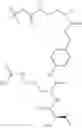 Fig. 222 - Protein-polymer-drug conjugates
