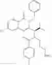 Fig. 228 - Protein-polymer-drug conjugates
