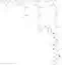 Fig. 314 - Protein-polymer-drug conjugates