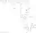 Fig. 345 - Protein-polymer-drug conjugates