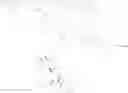 Fig. 357 - Protein-polymer-drug conjugates
