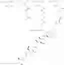 Fig. 387 - Protein-polymer-drug conjugates