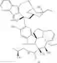 Fig. 437 - Protein-polymer-drug conjugates