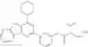 Fig. 448 - Protein-polymer-drug conjugates