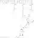 Fig. 488 - Protein-polymer-drug conjugates