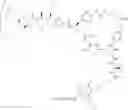 Fig. 497 - Protein-polymer-drug conjugates