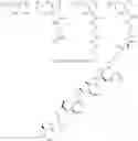 Fig. 505 - Protein-polymer-drug conjugates
