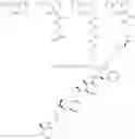 Fig. 506 - Protein-polymer-drug conjugates