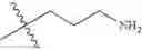 Fig. 511 - Protein-polymer-drug conjugates