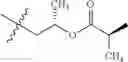Fig. 520 - Protein-polymer-drug conjugates