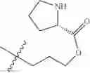 Fig. 522 - Protein-polymer-drug conjugates
