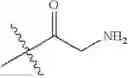 Fig. 526 - Protein-polymer-drug conjugates