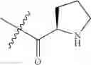 Fig. 534 - Protein-polymer-drug conjugates