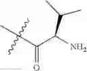 Fig. 536 - Protein-polymer-drug conjugates