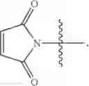 Fig. 567 - Protein-polymer-drug conjugates
