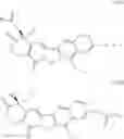 Fig. 88 - Protein-polymer-drug conjugates