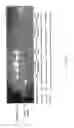 Fig. 08 - Composition for delivery of genetic material