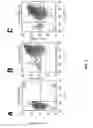 Fig. 03 - GENETICALLY MODIFIED HUMAN NATURAL KILLER CELL LINES