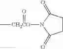 Fig. 17 - DETECTION OF HIGH RISK DRUSEN