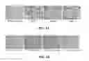 Fig. 02 - TUMOR SPECIFIC ANITBODY CONJUGATES AND USES THEREFOR