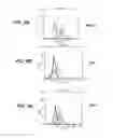 Fig. 15 - TUMOR SPECIFIC ANITBODY CONJUGATES AND USES THEREFOR