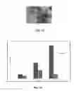 Fig. 17 - TUMOR SPECIFIC ANITBODY CONJUGATES AND USES THEREFOR