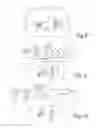 Fig. 08 - Sanitizer