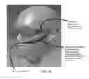Fig. 24 - Switchable gas and liquid release and delivery devices, systems, and methods